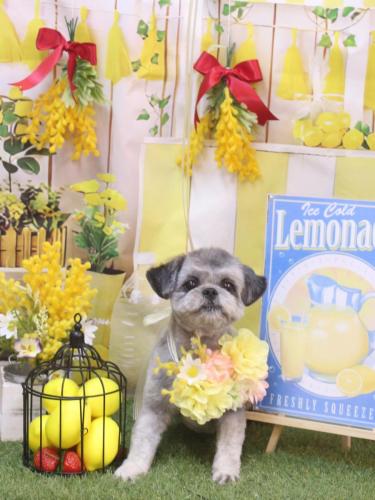 20240414パンくん